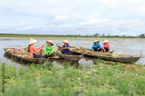 Wallpaper Mural Landscape photo: girls picking lily pads (Vietnam) Torontodigital.ca