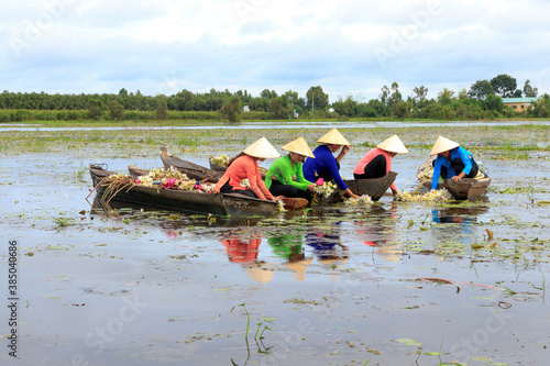 Wallpaper Mural Landscape photo: girls picking lily pads (Vietnam) Torontodigital.ca