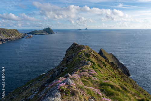 Billede på lærred View from a cliff in Ireland with pink flowers in the foreground
