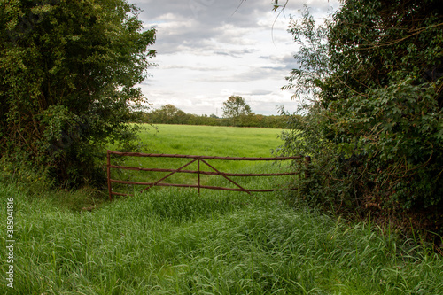 Rusty gate with barbed wire wrapped round bars on gate, which is situated in green grass