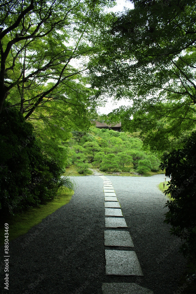 京都　竹林の小径