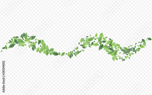 Olive Foliage Abstract Vector Transparent 