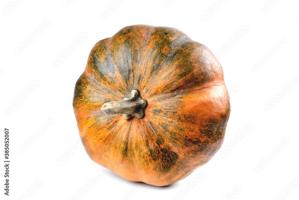 pumpkin yellow-brown color round shape on a white background pumpkin yellow-brown color round shape on a white background
