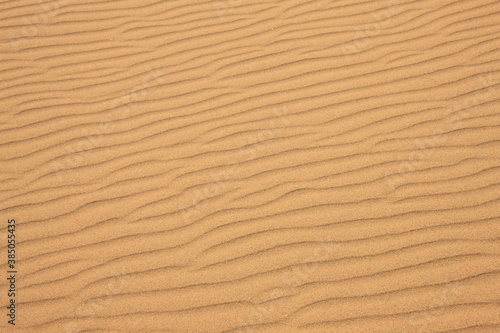 鳥取砂丘の風紋 © Paylessimages