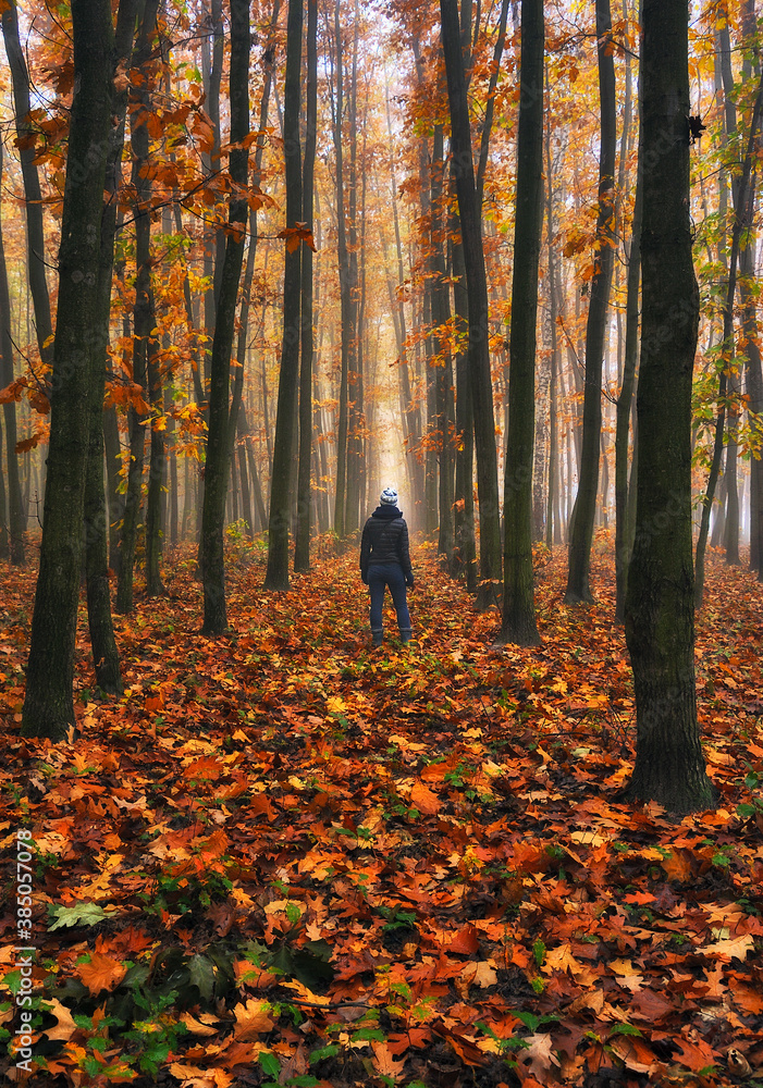 Woman walking in fantasy autumn forest. Silhouette of a woman in a dark and foggy forest