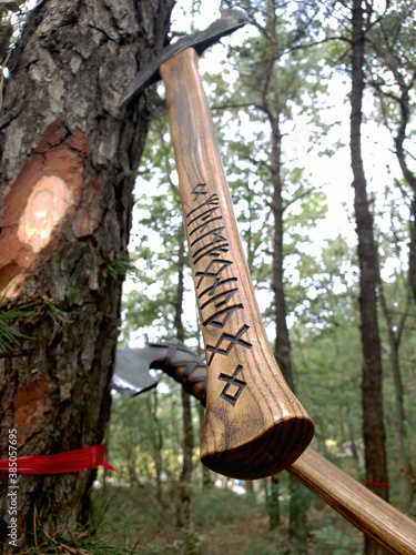 cutting a tree with an axe, doube bit axe, viking forest, camping with an axe, natural photo