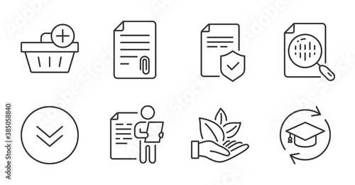 Organic product, Attachment and Job interview line icons set. Analytics chart, Insurance policy and Scroll down signs. Continuing education, Add purchase symbols. Leaf, Attach file, Cv file. Vector