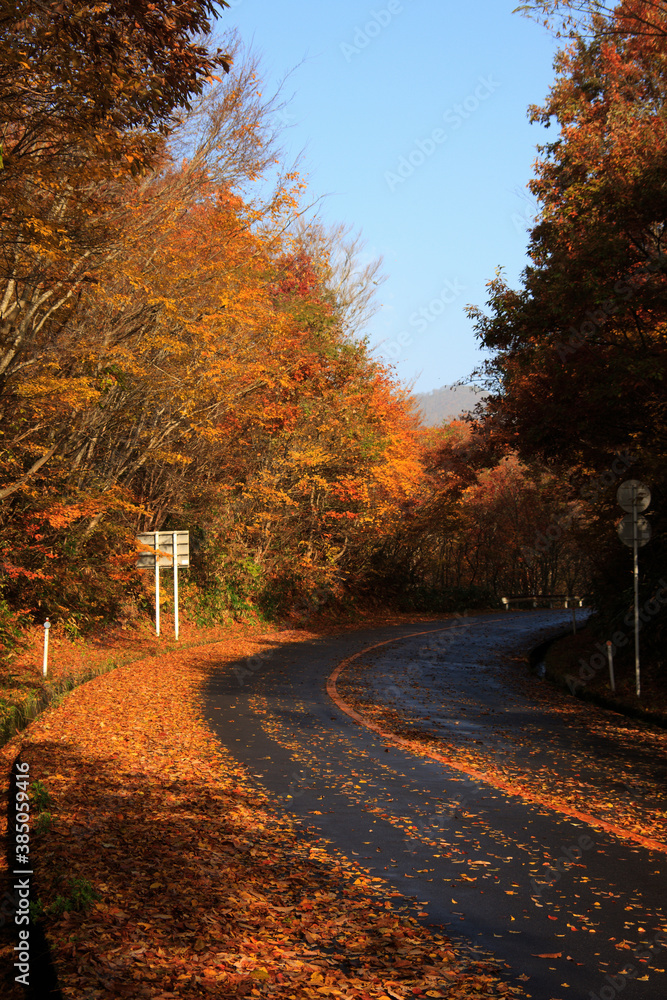 Obraz premium 蒜山高原の紅葉
