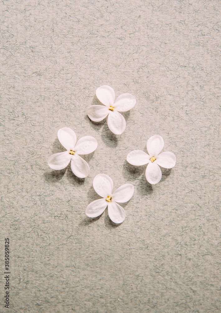 White lilac flowers on grey paper background, top view, invitation card. Valentines day card White lilac flowers on grey paper background, top view, invitation card. Valentines day card