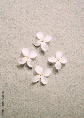 White lilac flowers on grey paper background  top view  invitation card. Valentines day card