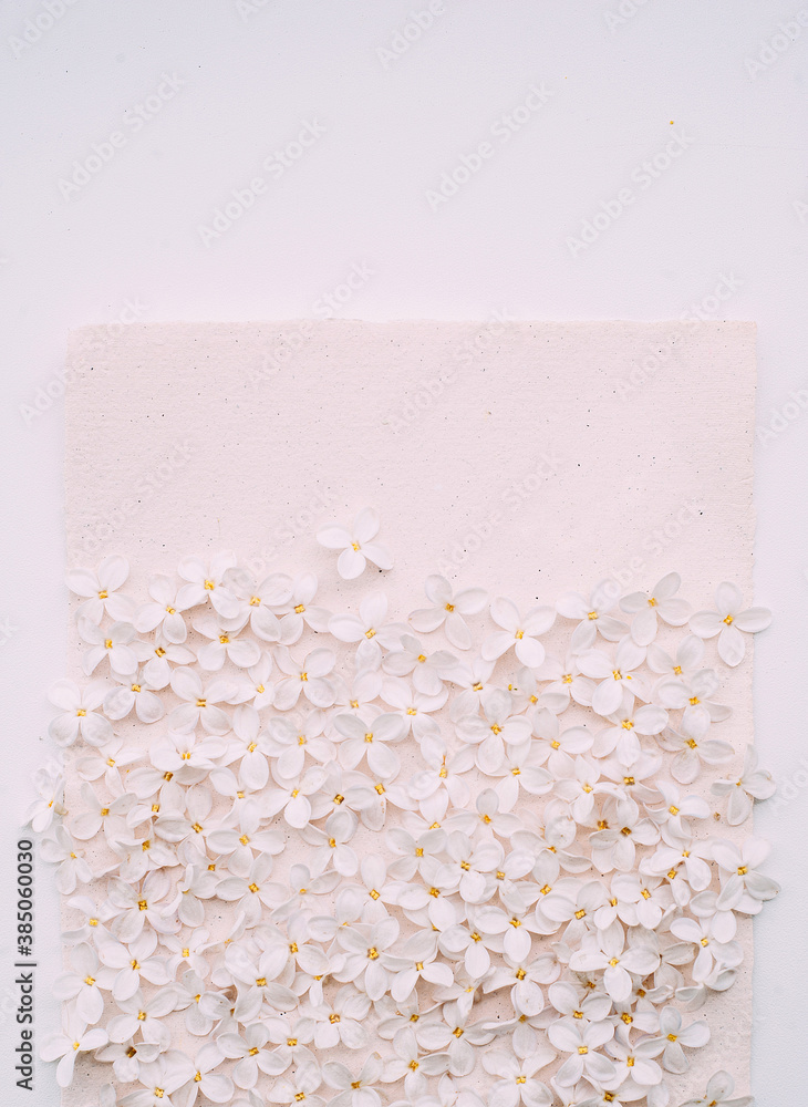 Valentine's day card. Pink design paper with white lilac flowers and empty space for sight, text. Bright card template with natural flowers, flat lay, close up. Dust rosy background. Valentine's day card. Pink design paper with white lilac flowers and empty space for sight, text. Bright card template with natural flowers, flat lay, close up. Dust rosy background.