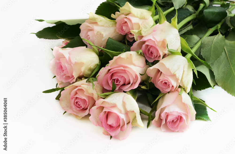 Pink rose flowers bouquet on white background