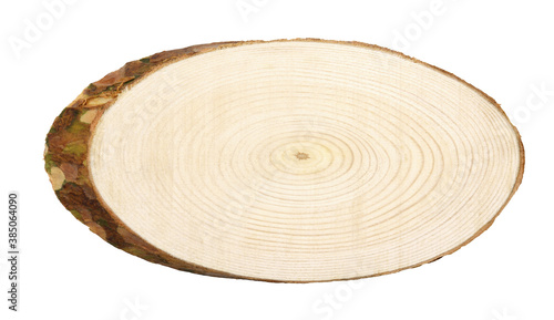 Oval cross section of pine ...