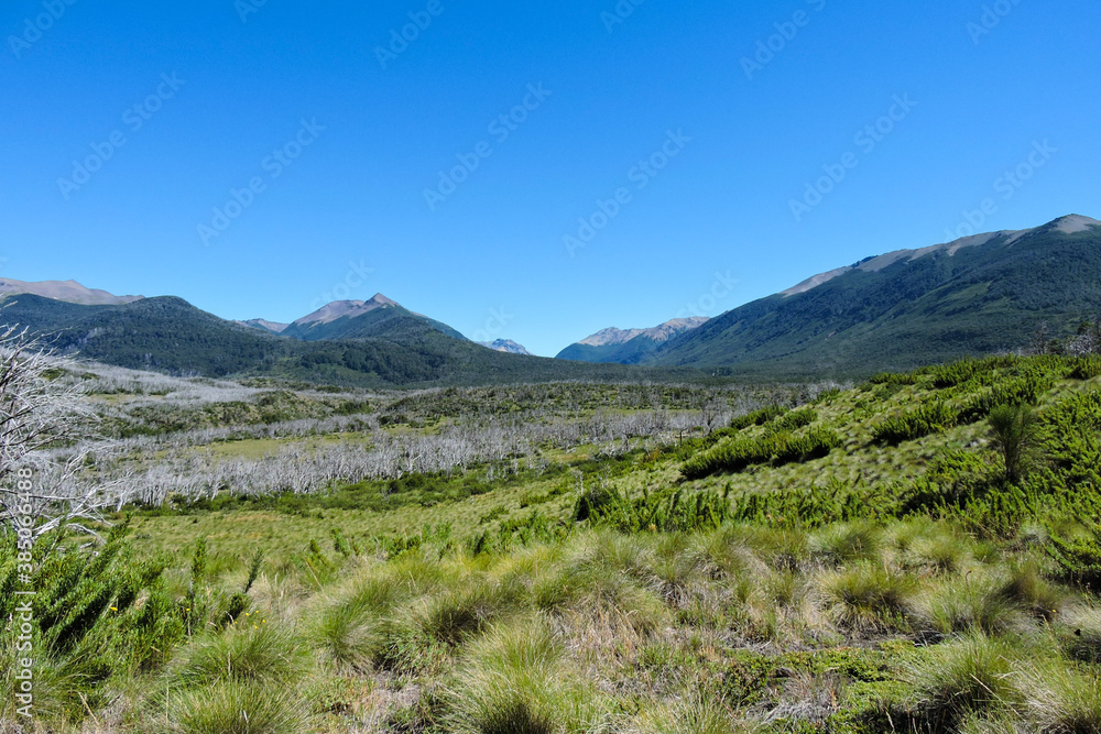 Valle de Auquinco