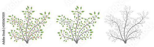 Bush plants with green leaves and red berries in three versions on a white background