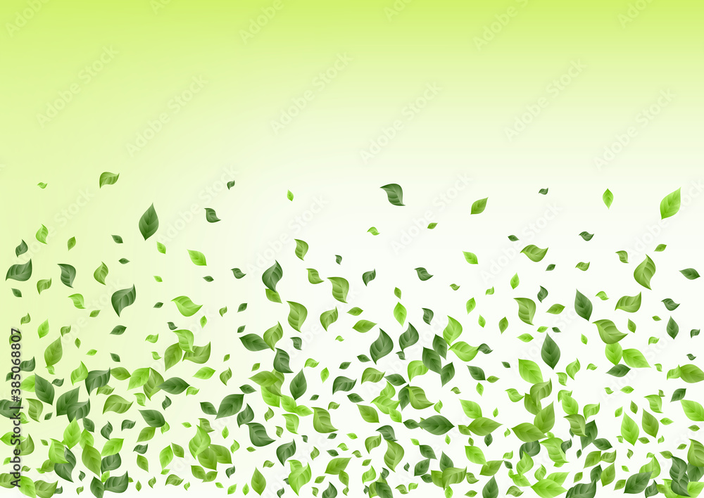 Forest Greenery Fresh Green Background Concept. Forest Greenery Fresh Green Background Concept.
