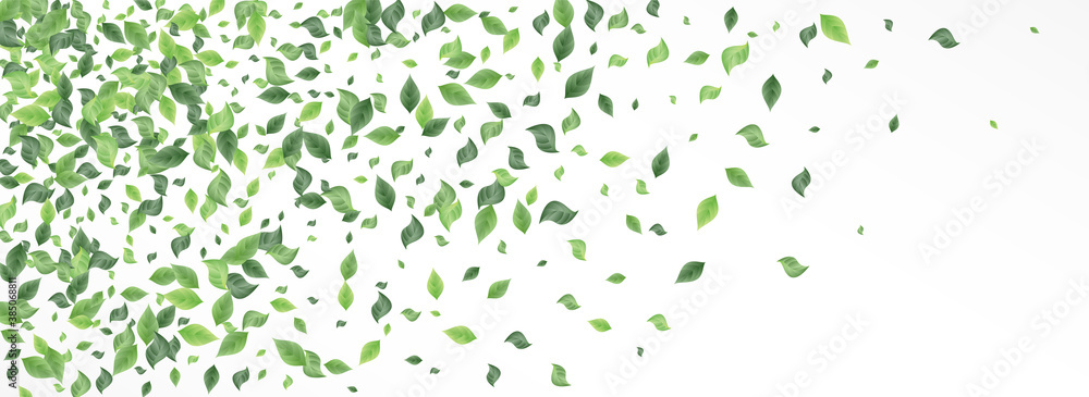 Forest Greenery Realistic Panoramic White And Forest Greenery Realistic Panoramic White And