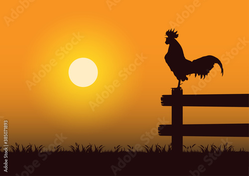 stock vector silhouette crowing rooster in the grassland graphic illustration