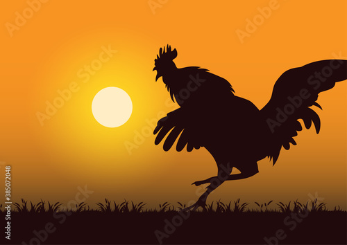 stock vector silhouette angry rooster in the grassland graphic illustration