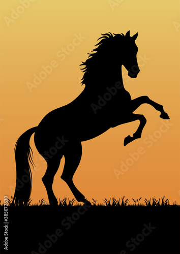 stock vector silhouette standing horse in the grassland graphic illustration