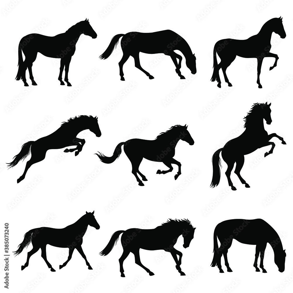 stock vector set horses silhouettes collection isolated on white