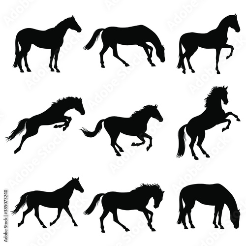 stock vector set horses silhouettes collection isolated on white