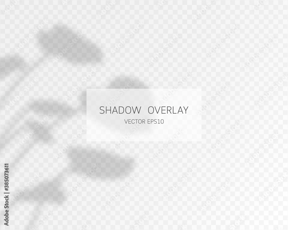 Shadow overlay effect. Natural shadows isolated on transparent background. Vector illustration. Shadow overlay effect. Natural shadows isolated on transparent background. Vector illustration.