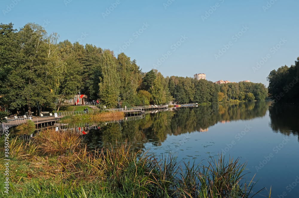 Fototapeta premium park with lake