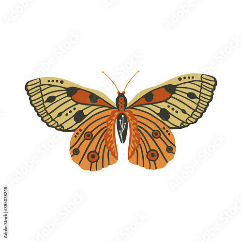 Boho vector art design with bohemian butterfly. Isolated insect icon, hand drawn illustration on a white background. © trihubova