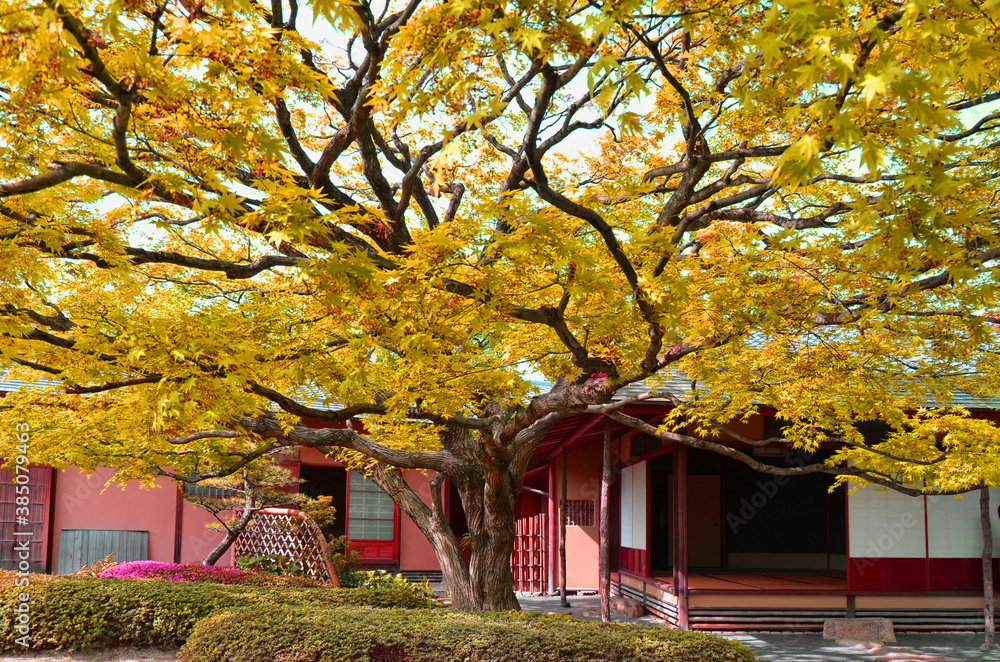 Shofuen garden, Fukuoka city, Japan. Site of Shofuso, the residence of renowned Fukuoka Tamaya department store founder and Kyushu pottery collector Zenpachi Tanakamaru.