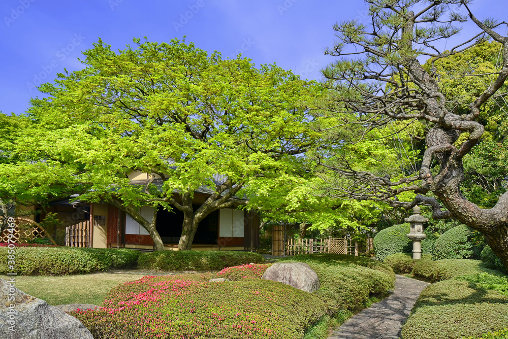 Shofuen garden, Fukuoka city, Japan. Site of Shofuso, the residence of renowned Fukuoka Tamaya department store founder and Kyushu pottery collector Zenpachi Tanakamaru. Shofuen garden, Fukuoka city, Japan. Site of Shofuso, the residence of renowned Fukuoka Tamaya department store founder and Kyushu pottery collector Zenpachi Tanakamaru.
