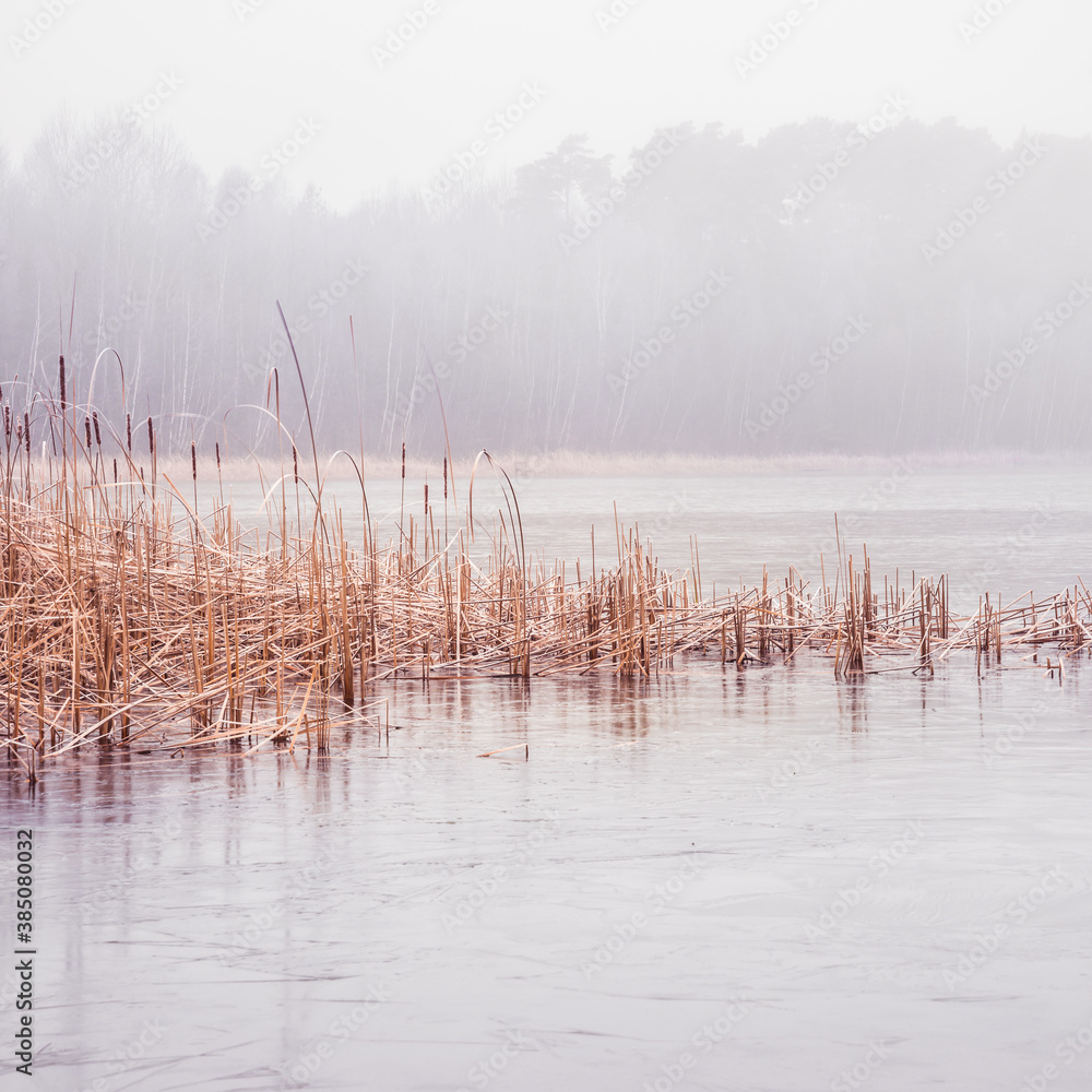 Forest lake covered with thick morning mist Forest lake covered with thick morning mist
