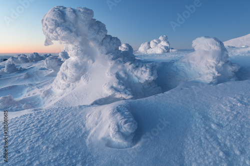 Winter panorama of fir trees covered with white snow with dolomitic mountain background, Dolomites, Italy photo