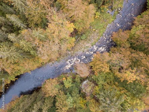 Aerial view of the autumn forest and small stream. Way along the river in the mountains covered with green and colorful forest, top view. Sunny day. Picture from the air.