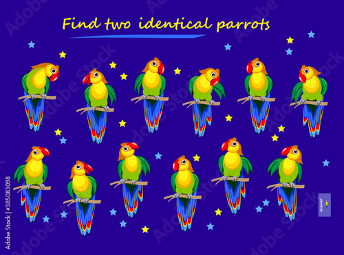 Logic puzzle game for children and adults. Find two identical parrots. Printable page for kids brain teaser book. Developing spatial thinking skills. IQ test. Task for attentiveness. Play online.