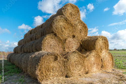 harvesting straw from fields