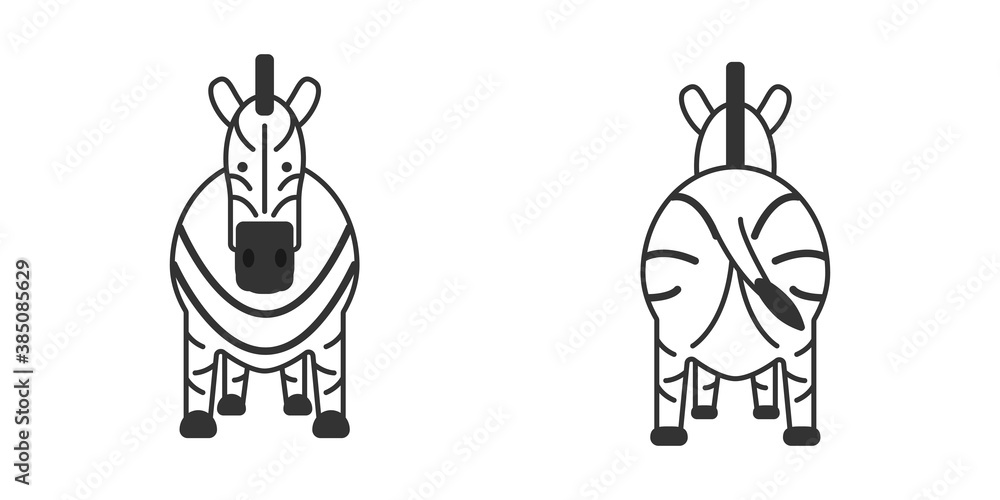 Cute Zebra set (front and back), Vector illustration of Zebra.	