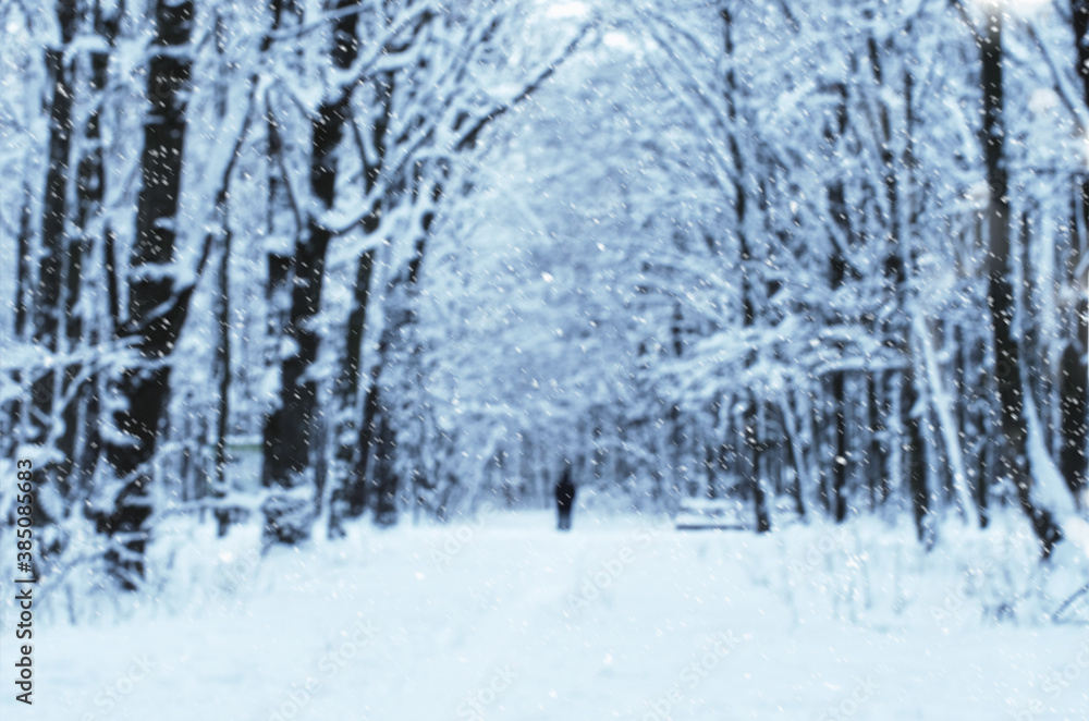 Winter snow covered trees blurred background Winter snow covered trees blurred background