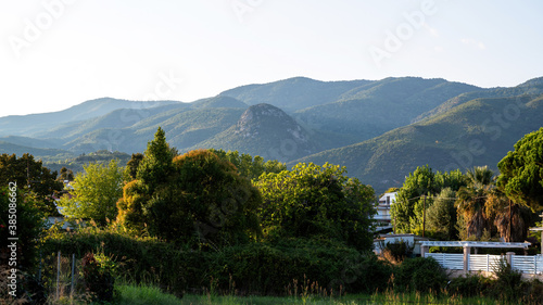 Green nature with mountains on background in Asprovalta