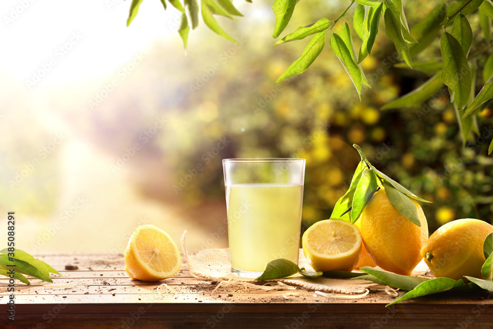 Freshly squeezed juice on wooden table with lemons in nature - obrazy, fototapety, plakaty 