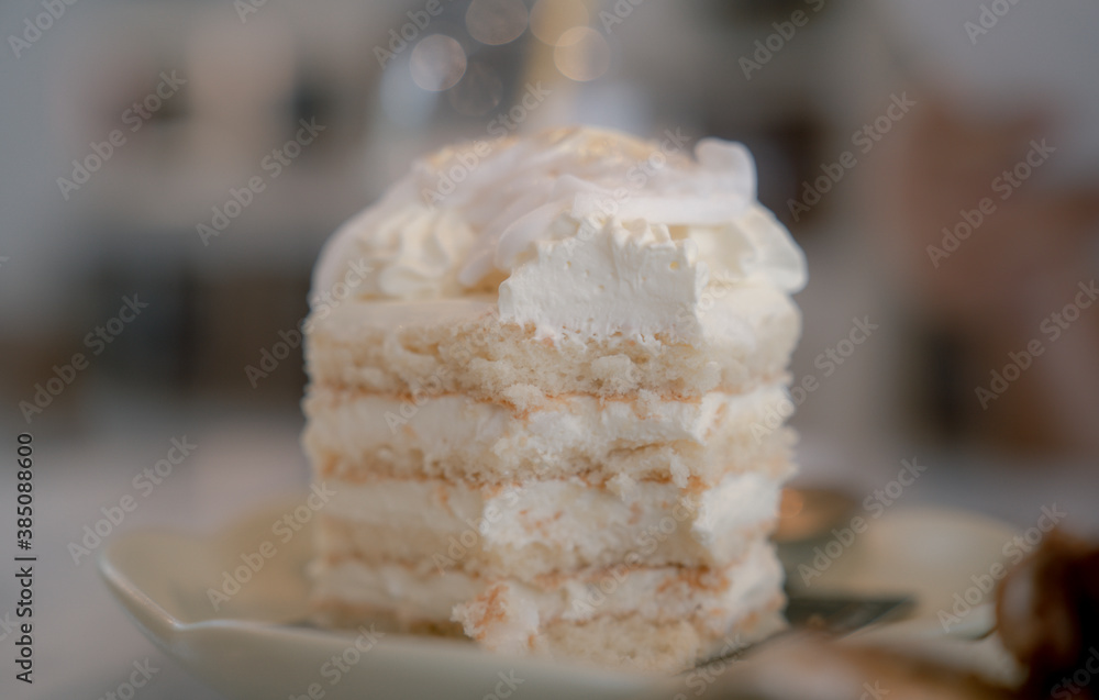 Close up A yummy dish of fresh coconut cake Close up A yummy dish of fresh coconut cake