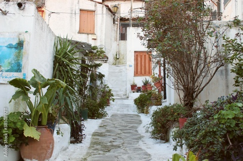 Athenian Neighborhood  © Erin
