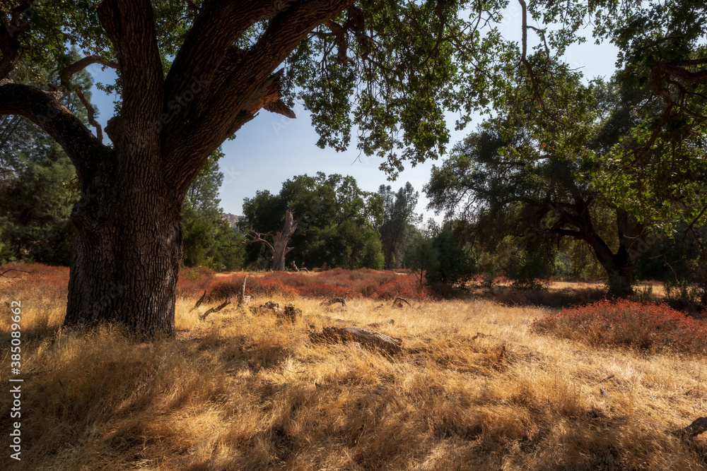 Scenic sunny landscape in Pinnacle National Park, California Scenic sunny landscape in Pinnacle National Park, California