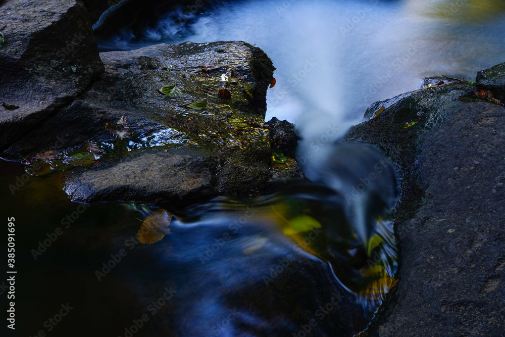 Fototapeta premium Fallen leaves on the stream in autumn