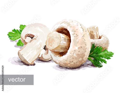 Vegetable set. Mushrooms, garlic, parsley, blob. Harvest and Thanksgiving fruit of nature, food collection for restaurants, menus, posters and grocery bags. Graphics and color