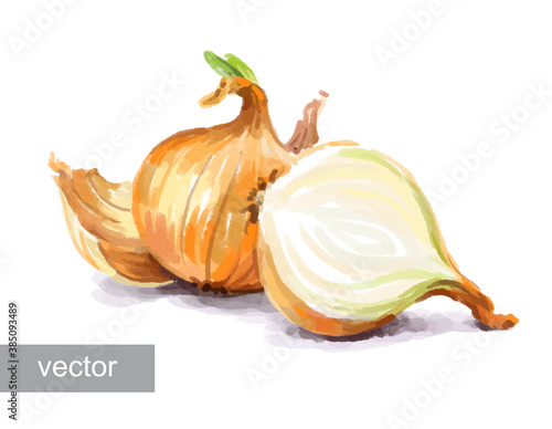 Vegetable set. Onion, radish, cucumber, blot. Harvest and Thanksgiving fruit of nature, food collection for restaurants, menus, posters and grocery bags. Graphics and color