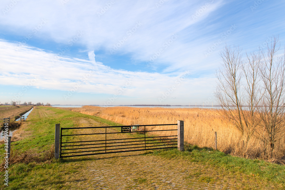 Dutch landscape polder