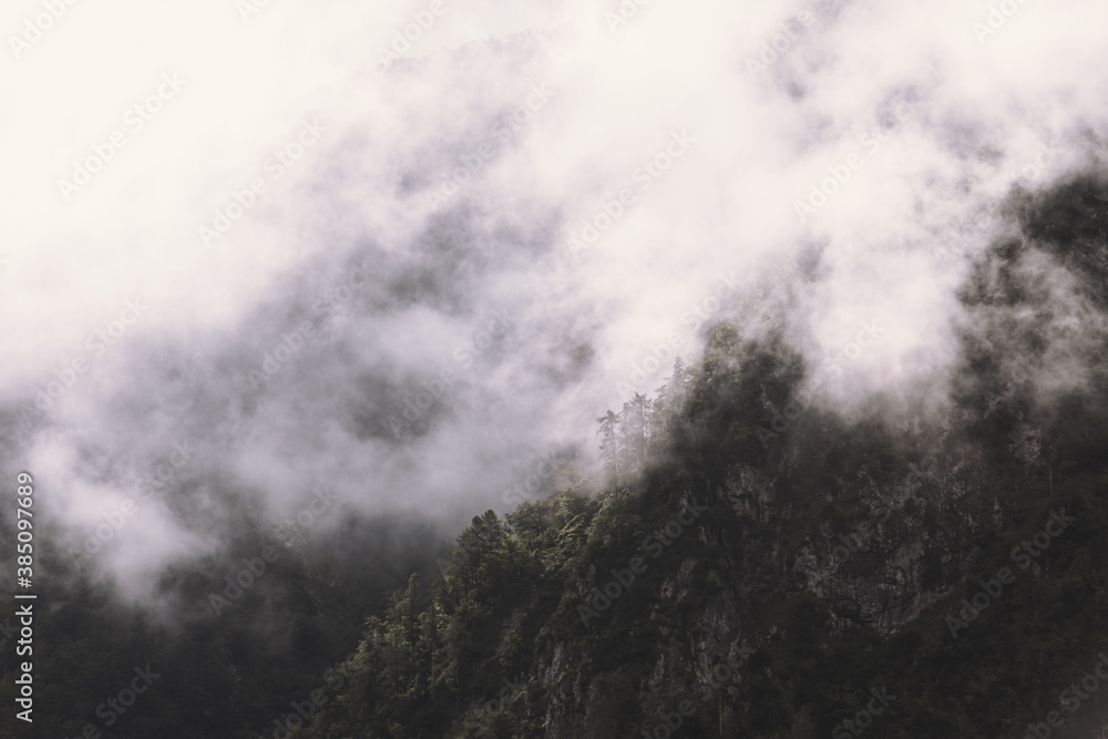 Dramatic and mysterious fog over forest and mountains in Bohinj, Slovenia
