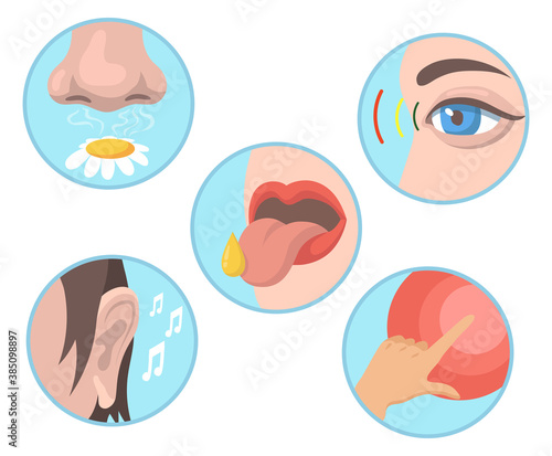 Five senses set. Smelling, tasting, touching, vision, hearing illustrations with nose, eye, tongue, ear and hand. Vector illustrations collection for human organs, sensations, anatomy concept