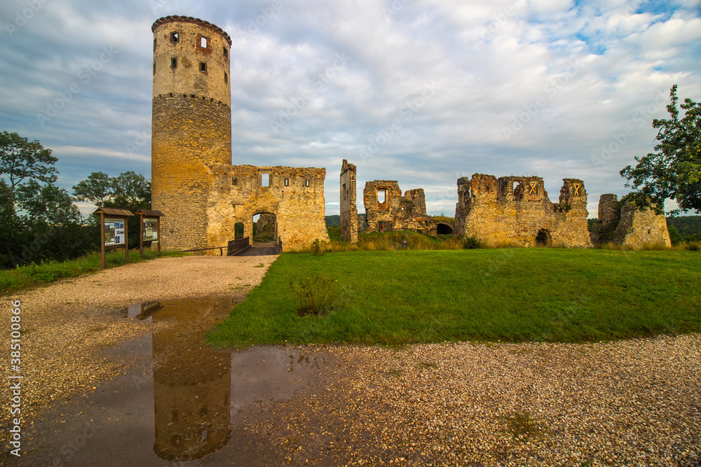 The Ruin of Zvířetice Castle located near Mlada Boleslav The Ruin of Zvířetice Castle located near Mlada Boleslav